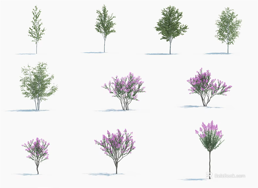 Various Arbor Varieties Featuring Green Foliage and Purple Blossoms in Garden 3d model 