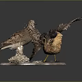Two Birds In Varied Postures Showcasing Natural Behaviors On Textured Display Base