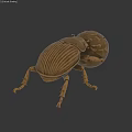 Bronze Beetle Landscape Sculpture With Metallic Finish Detailed Texture And Spherical Object