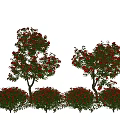 Beautiful Garden Landscape Design With Red Flowering Trees And Colorful Shrubs