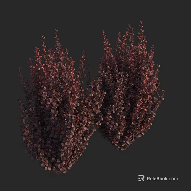 Dark Red Leaf Shrubs With Dense Foliage And Bushy Vibrant Growth 3d model 