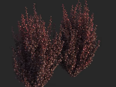 Dark Red Leaf Shrubs With Dense Foliage And Bushy Vibrant Growth 3d model