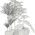 Various Lush Potted Green Plants With Different Leaf Types For Indoor Decoration