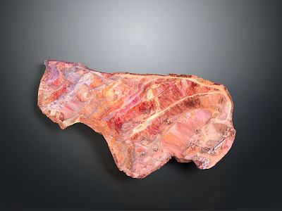 Natural Wood Stone Decorative Piece with Pink Brown Hues and Rustic Texture 3d model