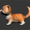 Cute Orange White Striped Kitten Standing On Shiny Black Surface With Reflection And Big Eyes
