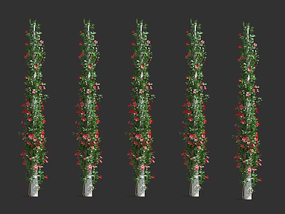 Decorative Vines with Green Leaves and Red Flowers in White Pots for Vertical Garden 3d model
