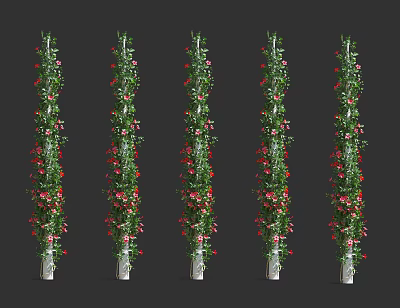 Modern Vine Climbing Vine Plant 3d model Modern Vine Climbing Vine Plant 3d model