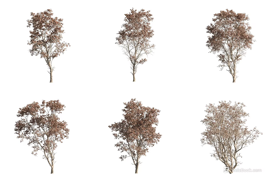 Various Arbor Trees Showcasing Different Foliage Colors And Crown Shapes 3d model