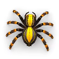 Vibrant Yellow And Black Striped Spider With Orange Banded Legs On White Background