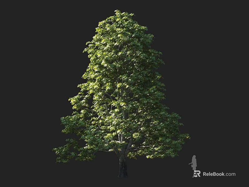 Tall Lush Arbor With Green Foliage And Human Silhouette Showing Size 3d model 