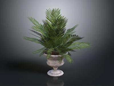 Green Palm Plant in Decorative Stone Planter with Lush Fronds for Garden 3d model