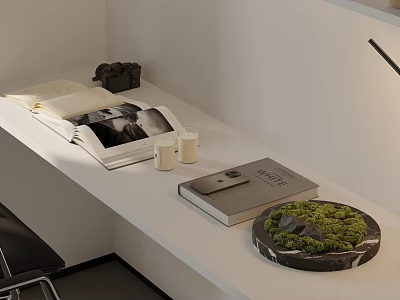 Stylish Desk Setup With Open Book Closed Nature Volume Candles And Moss Decor 3d model