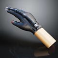 Sleek Black Mechanical Prosthetic Hand With Golden Forearm And Advanced Technological Design