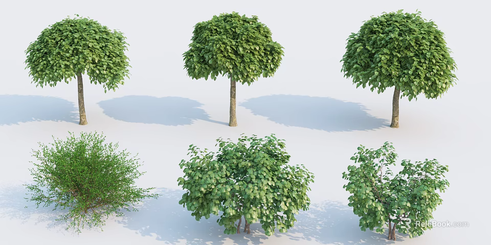 Lush Green Shrubs With Diverse Shapes And Natural Shadows In Outdoor Garden 3d model 