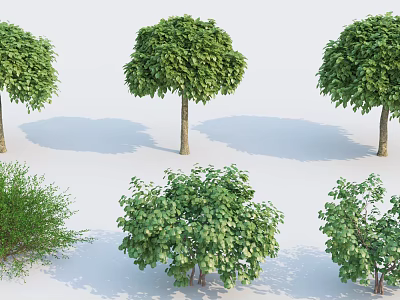 Lush Green Shrubs With Diverse Shapes And Natural Shadows In Outdoor Garden 3d model