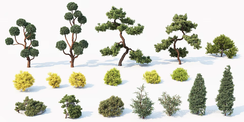 Various Types of Arbor Trees With Curved Trunks And Colorful Foliage For Landscaping 3d model 
