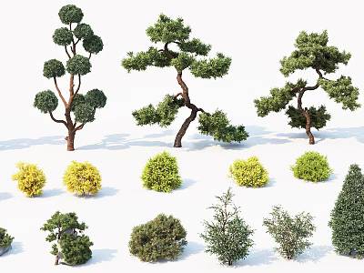 Various Types of Arbor Trees With Curved Trunks And Colorful Foliage For Landscaping 3d model