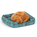 Cozy Turquoise Plaid Pet Bed as Home Decor Accessory Set with Sleeping Ginger Cat