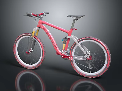 Modern Bike Cross Country Bike Sport Bike Race Bike 3d model