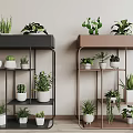 Garden Decor Multi Tiered Black And Brown Plant Stands With Potted Green Plants Indoor
