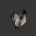 Game Movie Character White Chicken With Red Comb And Green Background
