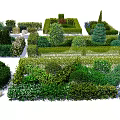 Diverse Trimmed Shrubs and Hedges in Various Shapes for Garden Landscaping with Flowering Bushes