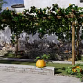 Rural Landscape With Traditional Building Vine Pergola Green Plants And Pumpkin Decoration