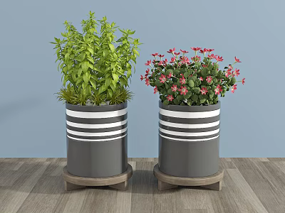 Green Foliage And Red Flower Potted Plants In Gray White Striped Planters On Wooden Stands 3d model