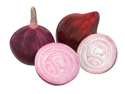 Fresh Red Onion Vegetables With Whole And Sliced Sections On White Background 3d model