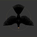 Modern Crow Birds 3d model