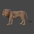 Realistic 3D Lion Model With Detailed Mane Standing On Dark Background
