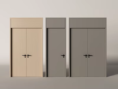 Modern Minimalist Double Doors in Light Wood and Dark Gray Home Interior Design 3d model