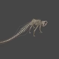 Game Movie Character Skeleton Structure Fantasy Creature With Detailed 3D Design