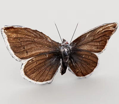 Flying small animals 3d model