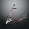 Modern Skull Goat Skull Antler Long Horn 3d model