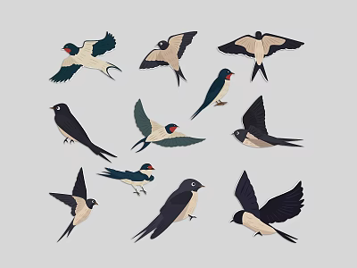 Swallows in Various Flying and Perched Poses with Black White Feathers and Red Breasted Features 3d model