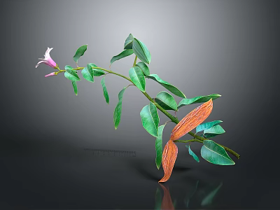 Green Plant With Pink Flower Green And Orange Leaves On Gray Background 3d model