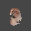 French Bulldog 3D Model Sitting Pose Light Brown Game Movie Character