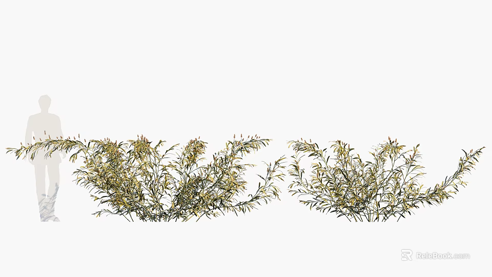 Fresh Green Foliage With Yellow Accents Decorative Plant Branches For Home Decor 3d model 