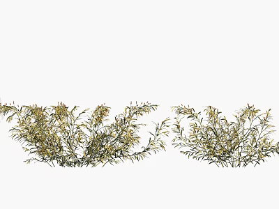Fresh Green Foliage With Yellow Accents Decorative Plant Branches For Home Decor 3d model
