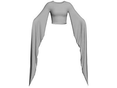 Gray Cropped Top With Flowy Long Sleeves Modern Minimalist Design 3d model