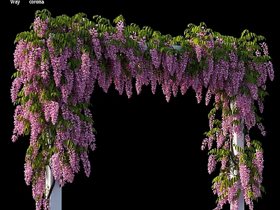 Ornamental Decor Set with Wisteria Arch Purple Flowers Green Vines and White Pillars 3d model