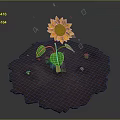 Vibrant Sunflower Plant Growing with Green Leaves in Soil and Small Stones