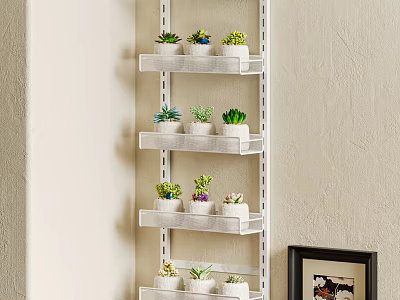 Indoor Succulent Plants Arranged On White Multi Tiered Shelf With Various Pots 3d model