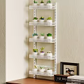 Indoor Succulent Plants Arranged On White Multi Tiered Shelf With Various Pots