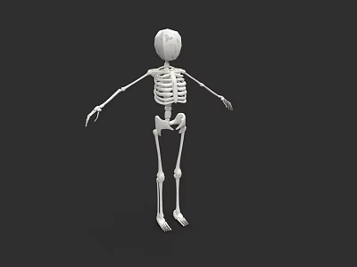 White Human Skeleton Model Standing On Black Background 3D Render 3d model