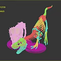 Dinosaur Skeletons Display Triceratops Skull And Small Dinosaur White Copper Color On Black Base