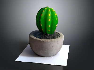 Green Cactus With Yellow Spots In Concrete Pot On White Paper Dark Background 3d model