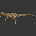 Realistic Dinosaur 3D Character Model With Open Mouth And Detailed Skin Texture