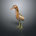 Realistic Brown Feathered Heron With Long Orange Beak And Yellow Legs Standing On Dark Reflective Surface